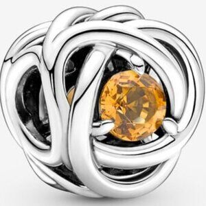 New Pandora Eternity Birthstone Birthday Circle Charm November Bead